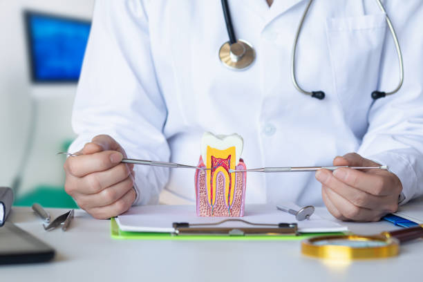 Best Emergency Dental Extractions in Essex Junction, VT